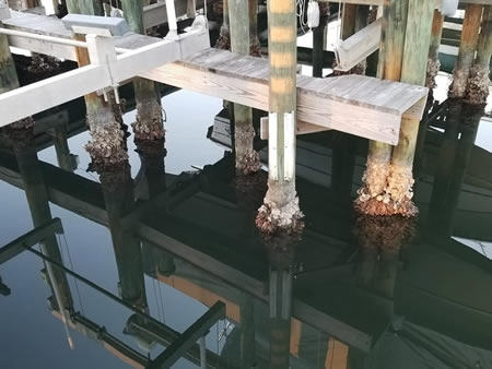 Hidden Signs Your Waterfront Dock Is About to Collapse